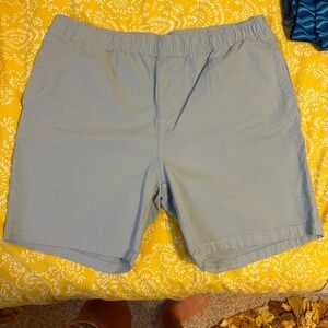 NWOT Free Fly Canvas Shorts